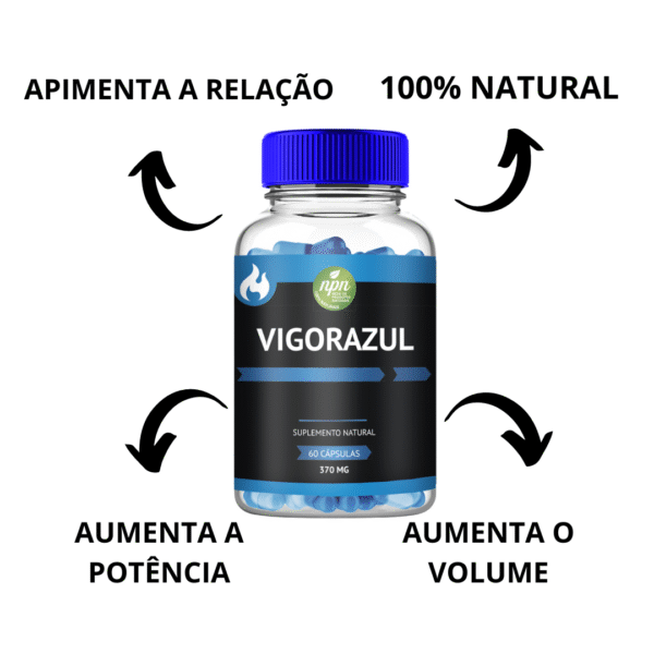 Vigor Azul - Imagem 3